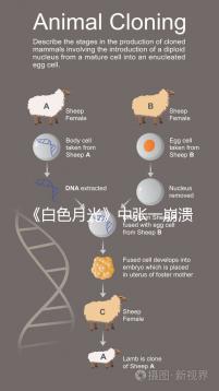 《白色月光》中張一崩潰在孩子面前哭，你認(rèn)為該不該？