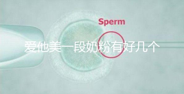 愛他美一段奶粉有好幾個版本，但真偽查詢方法都相似