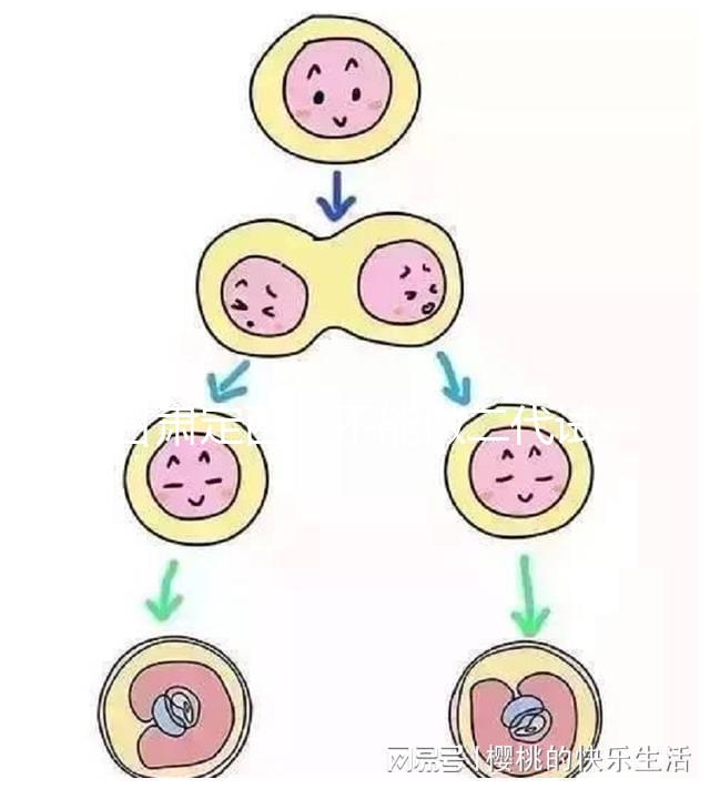 甘肅定西能不能做二代試管嬰兒，成功率高不高？