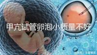 甲亢試管卵泡小質量不好怎么調養(yǎng)來瞧，五招教你快速改善