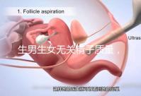 生男生女無關精子質量，分享成功懷男孩的4個細節經驗