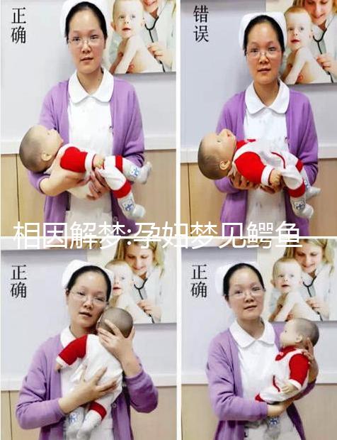 相因解夢(mèng):孕婦夢(mèng)見鱷魚不一定意味著好事降臨!