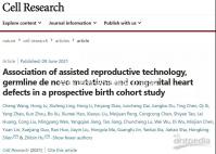 目前國外做試管嬰兒需要結婚證嗎?不同地區證照要求解讀