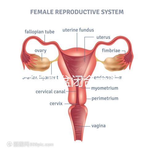 美容院骨盆閉合術騙局公開，不但沒用還會造成損傷要小心