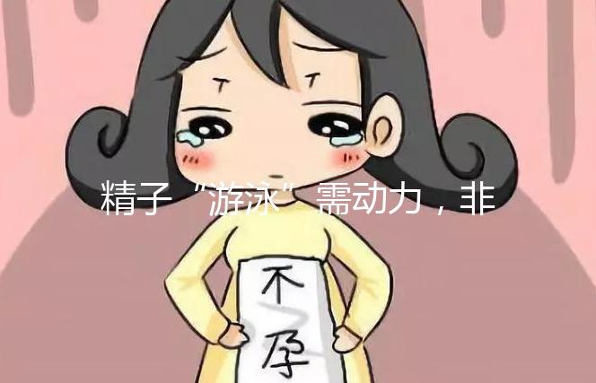 精子“游泳”需動(dòng)力,非前向運(yùn)動(dòng)率低才有好孕