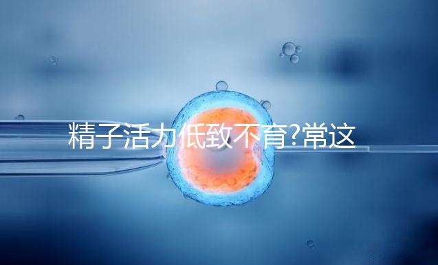 精子活力低致不育?常這吃4種食物讓你更快當上準爸爸!