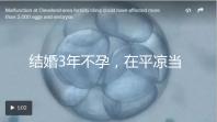 結婚3年不孕，在平涼當地能不能做試管嬰兒？