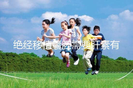 絕經移植囊胚需要肝素有答案嗎?詳細解釋三個好處