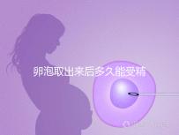 卵泡取出來后多久能受精做試管來瞧,想移植請(qǐng)算好時(shí)間