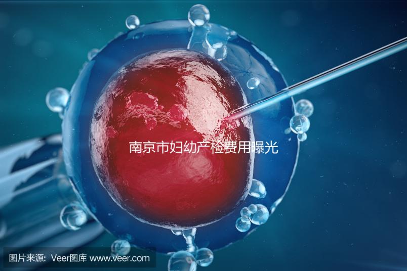 南京市婦幼產檢費用曝光，附2024詳細掛號時間和流程