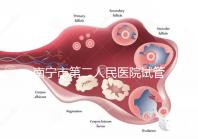南寧市第二人民醫院試管成功率不低有前提，選對醫生更好孕