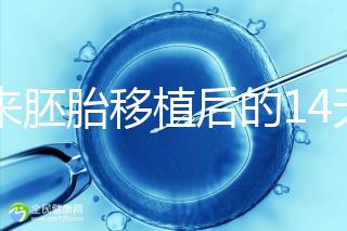 原來(lái)胚胎移植后的14天，這些信號(hào)預(yù)示著床成功