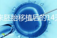 原來胚胎移植后的14天，這些信號預示著床成功