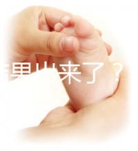 養(yǎng)囊結(jié)果出來了?3ab囊胚成功率、質(zhì)量好不好看這里