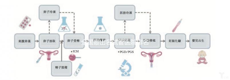 全國(guó)最出名試管醫(yī)院排名前5，內(nèi)附試管費(fèi)用及成功率一覽