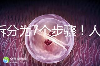 共拆分為7個步驟！人工授精自然周期流程全解