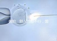 假的、別人的都不行，國內(nèi)做試管無結(jié)婚證真不能過關(guān)！