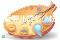 做試管嬰兒需多少錢 做試管...@夏子軒健康講堂的動(dòng)態(tài)
