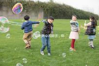 葉璇赴美冷凍卵子，稱“凍卵”是大齡未婚女性“后悔藥”！