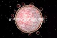 司法親子鑒定流程揭密，附準備材料請一并參考