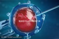 取卵后可以吃葉酸嗎？做過試管的姐妹們都這么說...