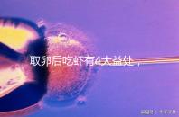 取卵后吃蝦有4大益處,且聽本文娓娓道來!