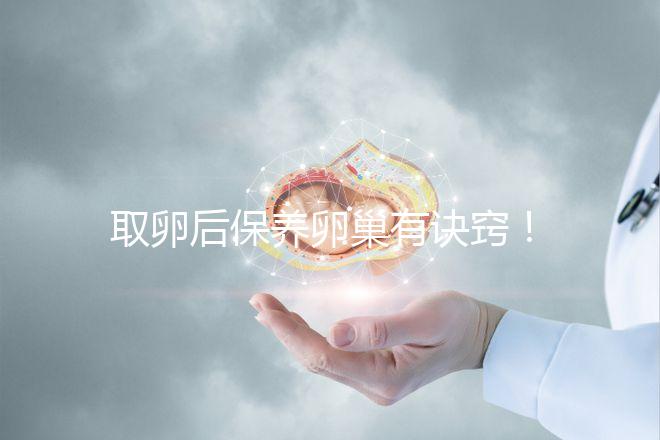 取卵后保養卵巢有訣竅！7種方法助你快速恢復