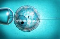 受精卵著床晚?胎兒小于停經(jīng)時(shí)間,分析:卵子精子結(jié)合晚