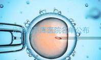 北京精子庫醫(yī)院名單公布(附2024供精條件&機構(gòu)介紹)