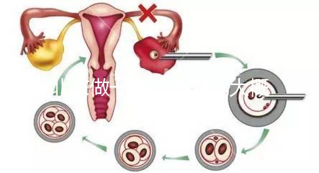 北京做一次試管嬰兒大概花多少錢？2025年價格及明細清單一覽！