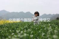 北京哪個醫(yī)院可以接受艾滋病病人做試管手術(shù)