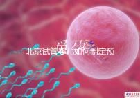 北京試管嬰兒如何制定預(yù)算,費用解析必看