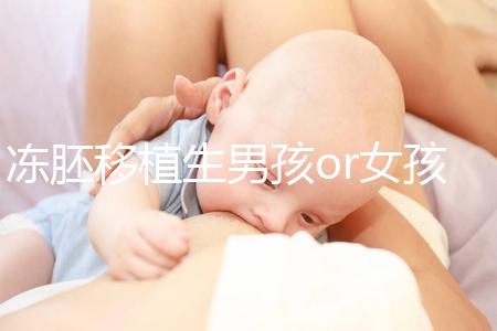 凍胚移植生男孩or女孩機率真不同,哪個大請看數(shù)據(jù)說話