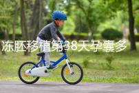 凍胚移植第38天孕囊多大？孕周和孕囊大小對照表一覽