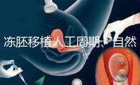 凍胚移植人工周期、自然周期怎么選？哪個(gè)成功率高？