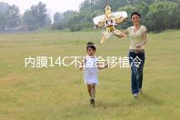 內(nèi)膜14C不適合移植冷凍胚胎要注意，不易懷孕請暫緩手術(shù)