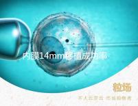 內(nèi)膜14mm移植成功率不高？好不好著床看完心里有譜