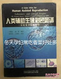 冬天孕婦常吃香菜好處多，搓成丸子味道更佳