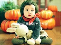 出血熱疫苗接種方法和部位有講究,5個(gè)步驟幫你全搞定