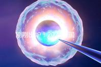 剛剛出爐!2024泰國(guó)試管嬰兒醫(yī)院最新排行榜