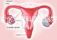 哪家河池男科醫院最好快速收藏，金城江區最有名的就在這里