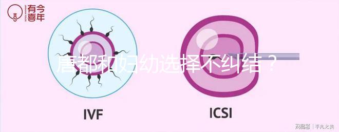 唐都和婦幼選擇不糾結(jié)？西安做試管嬰兒前要了解這些......