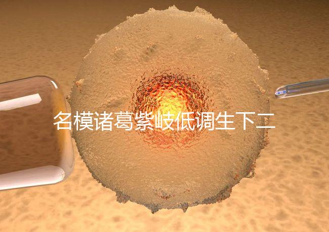 名模諸葛紫岐低調生下二胎，孕7個月肚子扁平成焦點