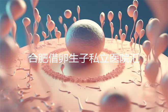 合肥借卵生子私立醫(yī)院匯總，2024哪家排名好一覽了然