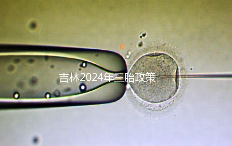 吉林2024年三胎政策最新消息分析，二道、綠園三孩規(guī)定出爐