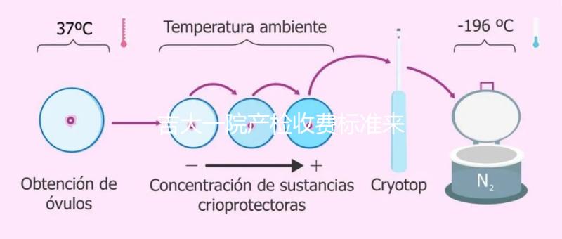 吉大一院產(chǎn)檢收費(fèi)標(biāo)準(zhǔn)來了!免費(fèi)項(xiàng)目和報(bào)銷比例一文說明