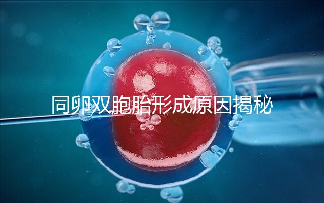 同卵雙胞胎形成原因揭秘，發(fā)育過程圖帶你弄清其中原理