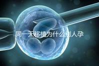 同一天移植為什么別人孕囊大答案公布，進(jìn)周前都看看