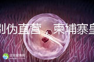 告別偽直營，柬埔寨皇家生殖遺傳醫院RFG中國辦事處指南