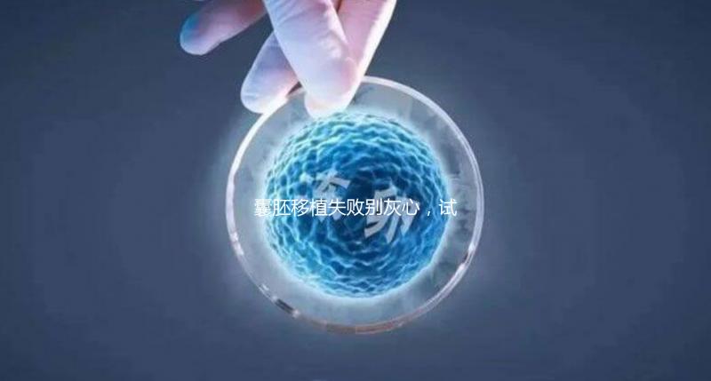 囊胚移植失敗別灰心，試管二次移植、取卵時間來了